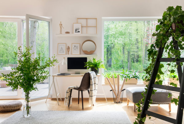 Image of bright living room interior with windows, plants, photo gallery and blanket on chair. Photo by KatarzynaBialasiewicz | Canva.