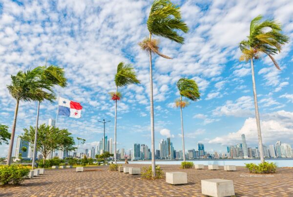Copa Airlines increasing service to Panama from Montreal and Toronto. This is an image of the skyline in Panama City with palm trees and a flag blowing in the wind. Photo by helovi | Canva.