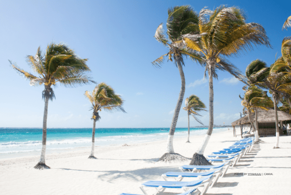 This is a stock image of a white sand beach in Tulum, Mexico with palm trees blowing in the wind and a line-up of empty loungers. Photo by yyyahuuu | Canva.
