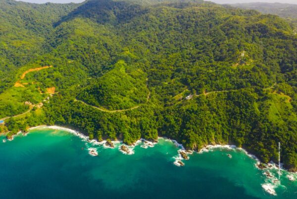 This image is stock photo of an aerial view of a shoreline in the Tobago Cays, St. Vincent and the Grenadines. Photo by Ingus Krukitis | Canva.