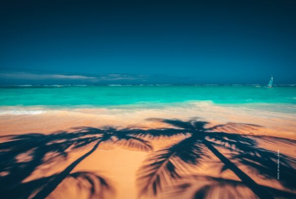 This is a stock photo of a beach in the Dominican Republic showing the ocean and shadows of palm trees. Photo by valio84sl | Canva.