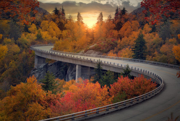 Image of a curvy road during autumn through the mountains. Photo by Kevron2001 | Canva.