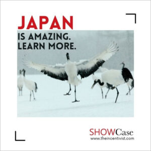 Japan Showcase on The Incentivist. Photo of Japanese cranes doing courting dance by plusphoto | Canva.