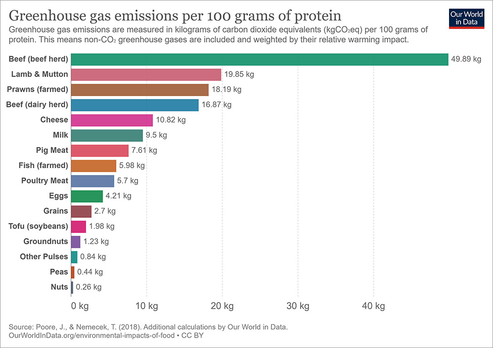 Chart showing greenhouse gas emissions per 100 grams of protein. Infographic from Our World in Data.