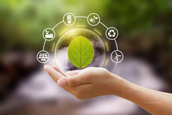First digital cohort to receive the EIC's sustainability certificate has been announced. This image is a stock photo of a person holding a leaf in cupped hand with sustainability icons circling the leaf. Photo by piyaset | Canva.