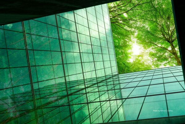 Social responsibility and sustainability are the focus of an IRF study released on November 17, 2022. This image shows green trees reflected in the glass walls of a building. Photo by fahroni | Canva.