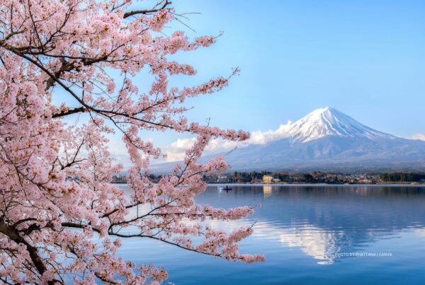 JNTO has added more resources to its MICE website. This is an image of cherry blossoms by Lake Kawaguchiko with Mount Fuji in the background. Photo is by phattana | Canva.