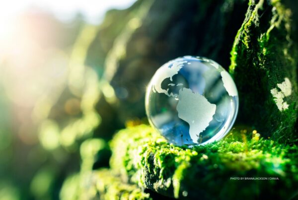 Sustainable aviation fuel. This is a stock image showing a glass Earth on a bed of green foliage. It accompanies an article about United Airlines' new investment fund for the development of sustainable aviation fuel. Photo by BrianAJackson | Canva.