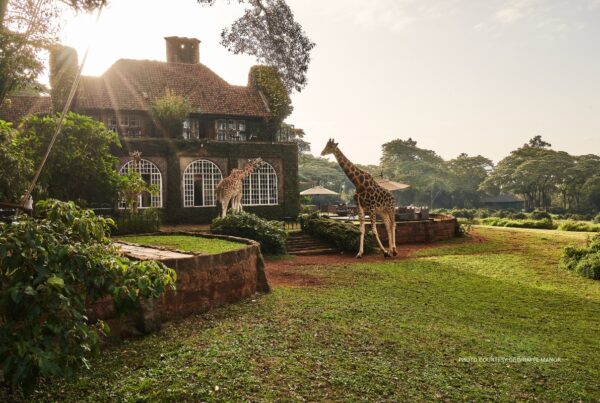 This is an image of the exterior of Giraffe Manor in Nairobi, Kenya, with two giraffes outside the building. Photo courtesy of Giraffe Manor.